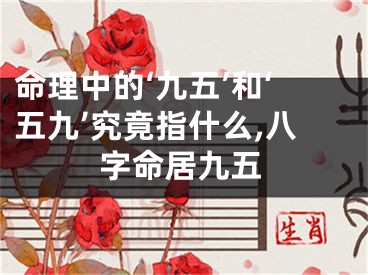 命理中的‘九五’和‘五九’究竟指什么,八字命居九五