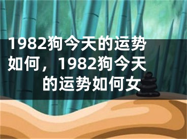 1982狗今天的运势如何，1982狗今天的运势如何女