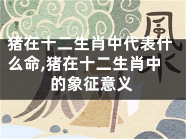 猪在十二生肖中代表什么命,猪在十二生肖中的象征意义