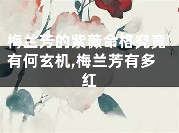 梅兰芳的紫薇命格究竟有何玄机,梅兰芳有多红