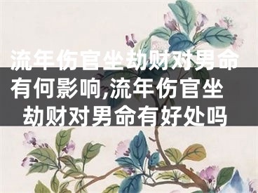 流年伤官坐劫财对男命有何影响,流年伤官坐劫财对男命有好处吗