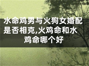 水命鸡男与火狗女婚配是否相克,火鸡命和水鸡命哪个好