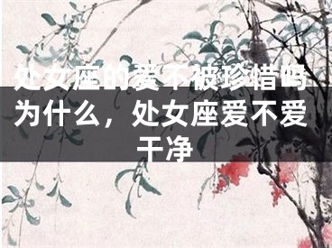 处女座的爱不被珍惜吗为什么，处女座爱不爱干净