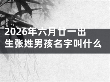 2026年六月廿一出生张姓男孩名字叫什么