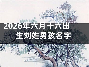 2026年六月十六出生刘姓男孩名字