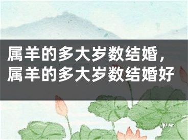 属羊的多大岁数结婚,属羊的多大岁数结婚好