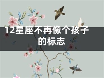 12星座不再像个孩子的标志