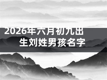 2026年六月初九出生刘姓男孩名字