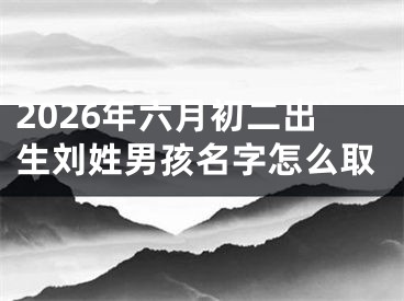 2026年六月初二出生刘姓男孩名字怎么取