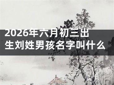 2026年六月初三出生刘姓男孩名字叫什么