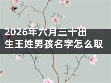 2026年六月三十出生王姓男孩名字怎么取