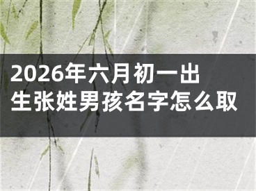 2026年六月初一出生张姓男孩名字怎么取