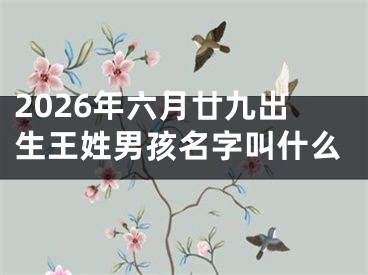 2026年六月廿九出生王姓男孩名字叫什么
