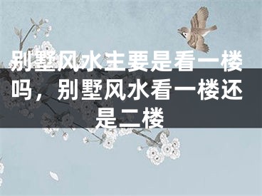 别墅风水主要是看一楼吗，别墅风水看一楼还是二楼
