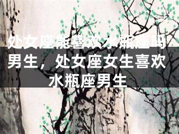 处女座能喜欢水瓶座吗男生，处女座女生喜欢水瓶座男生