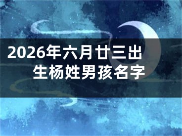 2026年六月廿三出生杨姓男孩名字