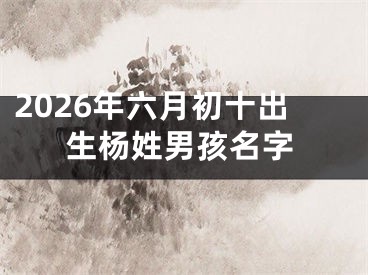 2026年六月初十出生杨姓男孩名字