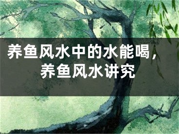 养鱼风水中的水能喝,养鱼风水讲究