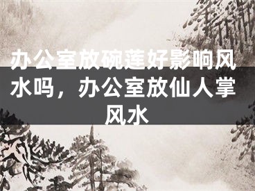 办公室放碗莲好影响风水吗,办公室放仙人掌风水