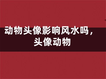 动物头像影响风水吗，头像动物