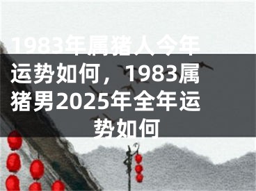 1983年属猪人今年运势如何，1983属猪男2025年全年运势如何
