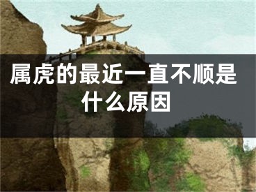 属虎的最近一直不顺是什么原因