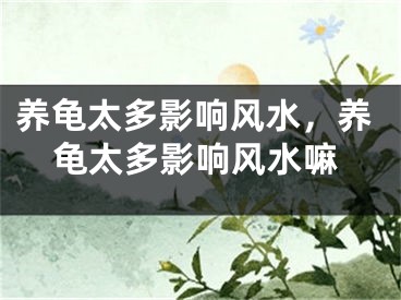 养龟太多影响风水,养龟太多影响风水嘛