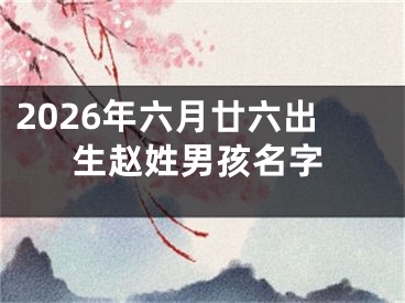 2026年六月廿六出生赵姓男孩名字