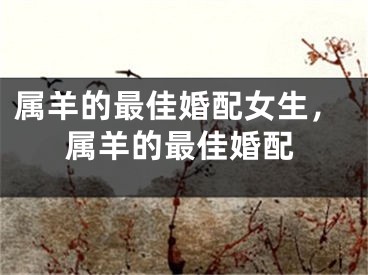属羊的最佳婚配女生,属羊的最佳婚配