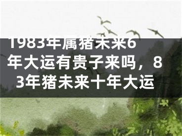 1983年属猪未来6年大运有贵子来吗,83年猪未来十年大运
