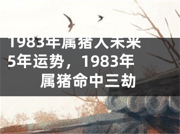 1983年属猪人未来5年运势,1983年属猪命中三劫