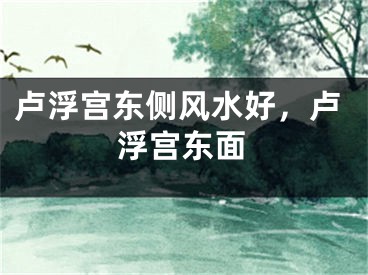 卢浮宫东侧风水好，卢浮宫东面