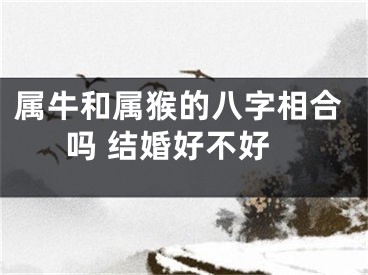 属牛和属猴的八字相合吗 结婚好不好