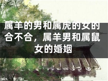 属羊的男和属虎的女的合不合,属羊男和属鼠女的婚姻