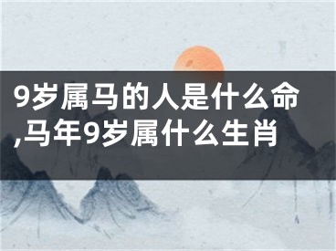 9岁属马的人是什么命,马年9岁属什么生肖
