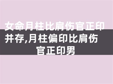 女命月柱比肩伤官正印并存,月柱偏印比肩伤官正印男