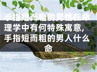 手指短而粗的男性在命理学中有何特殊寓意,手指短而粗的男人什么命