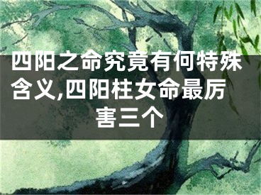 四阳之命究竟有何特殊含义,四阳柱女命最厉害三个