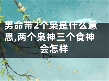 男命带2个枭是什么意思,两个枭神三个食神会怎样