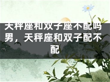 天秤座和双子座不配吗男，天秤座和双子配不配
