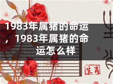 1983年属猪的命运,1983年属猪的命运怎么样