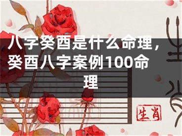 八字癸酉是什么命理，癸酉八字案例100命理