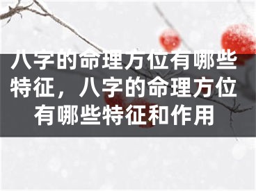 八字的命理方位有哪些特征，八字的命理方位有哪些特征和作用