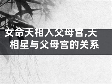 女命天相入父母宫,天相星与父母宫的关系