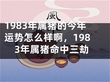 1983年属猪的今年运势怎么样啊,1983年属猪命中三劫