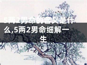 5两2男命的含义是什么,5两2男命细解一生