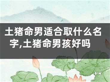 土猪命男适合取什么名字,土猪命男孩好吗