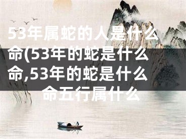 53年属蛇的人是什么命(53年的蛇是什么命,53年的蛇是什么命五行属什么