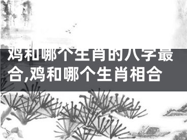 鸡和哪个生肖的八字最合,鸡和哪个生肖相合