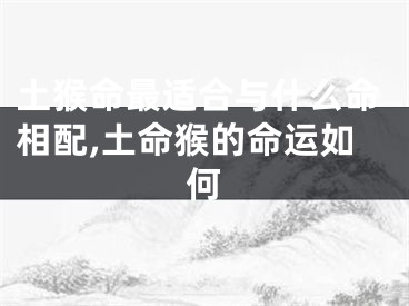 土猴命最适合与什么命相配,土命猴的命运如何